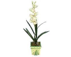 zel Yapay Orkide Beyaz   sparta online ieki , iek siparii 