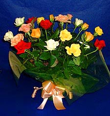  İsparta hediye çiçek yolla  13 adet karisik renkli güller