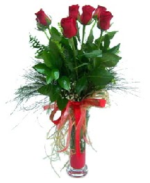 vazo içerisinde 5 kırmızı gül  İsparta güvenli kaliteli hızlı çiçek 