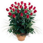  İsparta uluslararası çiçek gönderme  10 adet kirmizi gül cam yada mika vazo