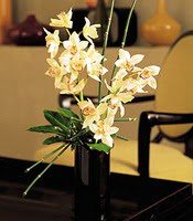  İsparta çiçekçiler  cam yada mika vazo içerisinde dal orkide