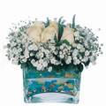 mika ve beyaz gül renkli taslar   İsparta çiçek satışı 
