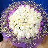 71 adet beyaz gül buketi   İsparta çiçek , çiçekçi , çiçekçilik 