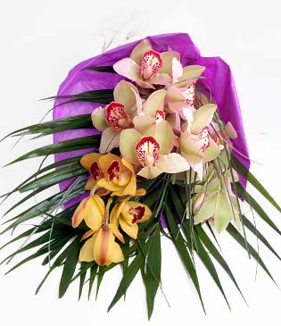  İsparta cicekciler , cicek siparisi  1 adet dal orkide buket halinde sunulmakta
