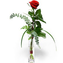  İsparta 14 şubat sevgililer günü çiçek  Sana deger veriyorum bir adet gül cam yada mika vazoda