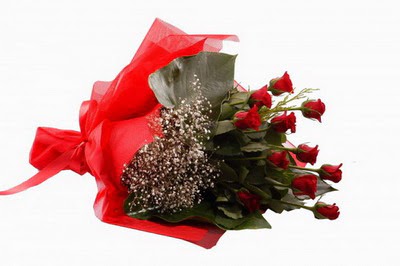  İsparta çiçek siparişi sitesi  11 adet kirmizi gül buketi çiçekçi