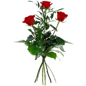  İsparta uluslararası çiçek gönderme  3 adet kırmızı gülden buket