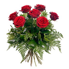  İsparta online çiçek gönderme sipariş  7 adet kırmızı gülden buket