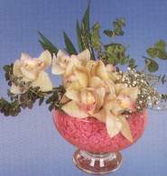  İsparta çiçek mağazası , çiçekçi adresleri  Dal orkide kalite bir hediye