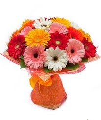 Renkli gerbera buketi  İsparta anneler günü çiçek yolla 