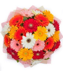 15 adet renkli gerbera buketi  İsparta yurtiçi ve yurtdışı çiçek siparişi 