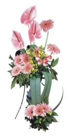  İsparta güvenli kaliteli hızlı çiçek  Pembe Antoryum Harikalar Rüyasi