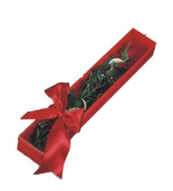  İsparta çiçek online çiçek siparişi  tek kutu gül sade ve sik 