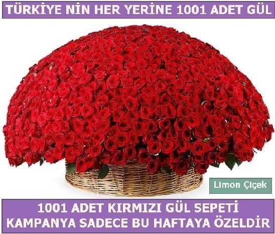 1001 Adet kırmızı gül Bu haftaya özel  İsparta İnternetten çiçek siparişi 