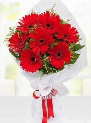 Kırmızı Gelbera Buketi  İsparta internetten çiçek siparişi 