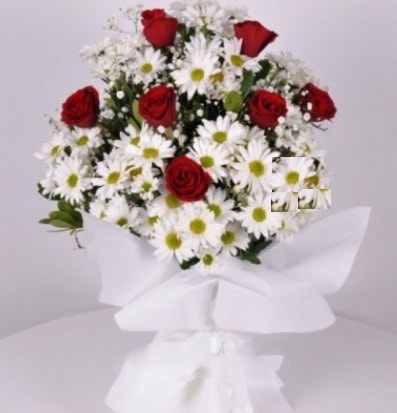 7 adet kırmızı gül ve papatyalar krizantem  İsparta internetten çiçek satışı 
