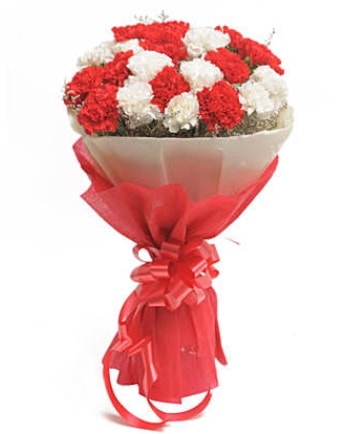 21 adet kırmızı beyaz karanfil buketi  İsparta çiçek satışı 