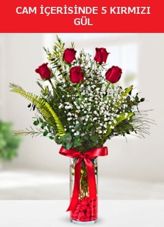 Cam içerisinde 5 adet kırmızı gül  İsparta çiçek siparişi sitesi 